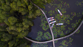 Begin your 90-day visa day with Vietnam’s tranquil ambiance